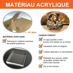 Plaque en acrylique Personnalisée – Meilleur Papa des Terres des Lions