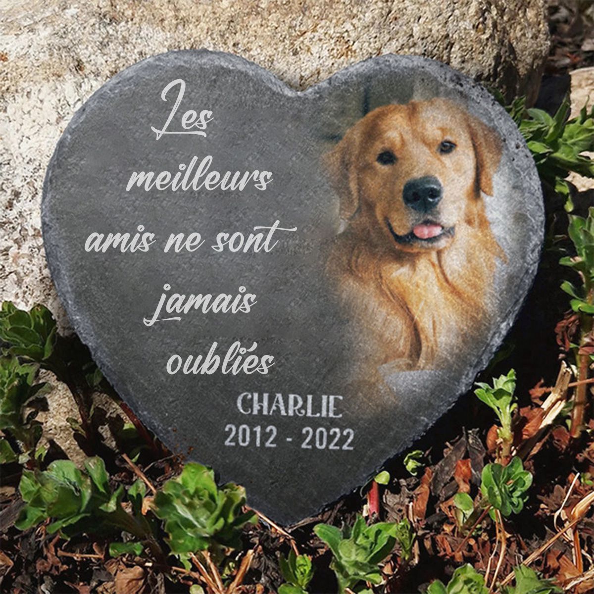 Pierre Commémorative en Forme de Cœur – Hommage Personnalisé pour Animal de Compagnie