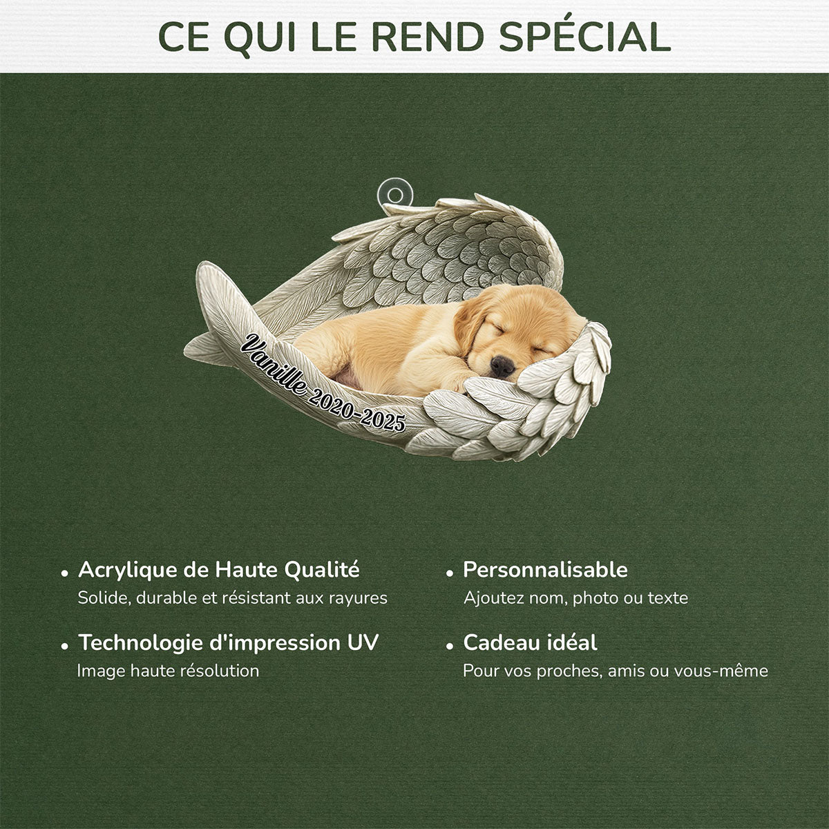 Décoration Commémorative Personnalisée – Ange Gardien pour Animal de Compagnie
